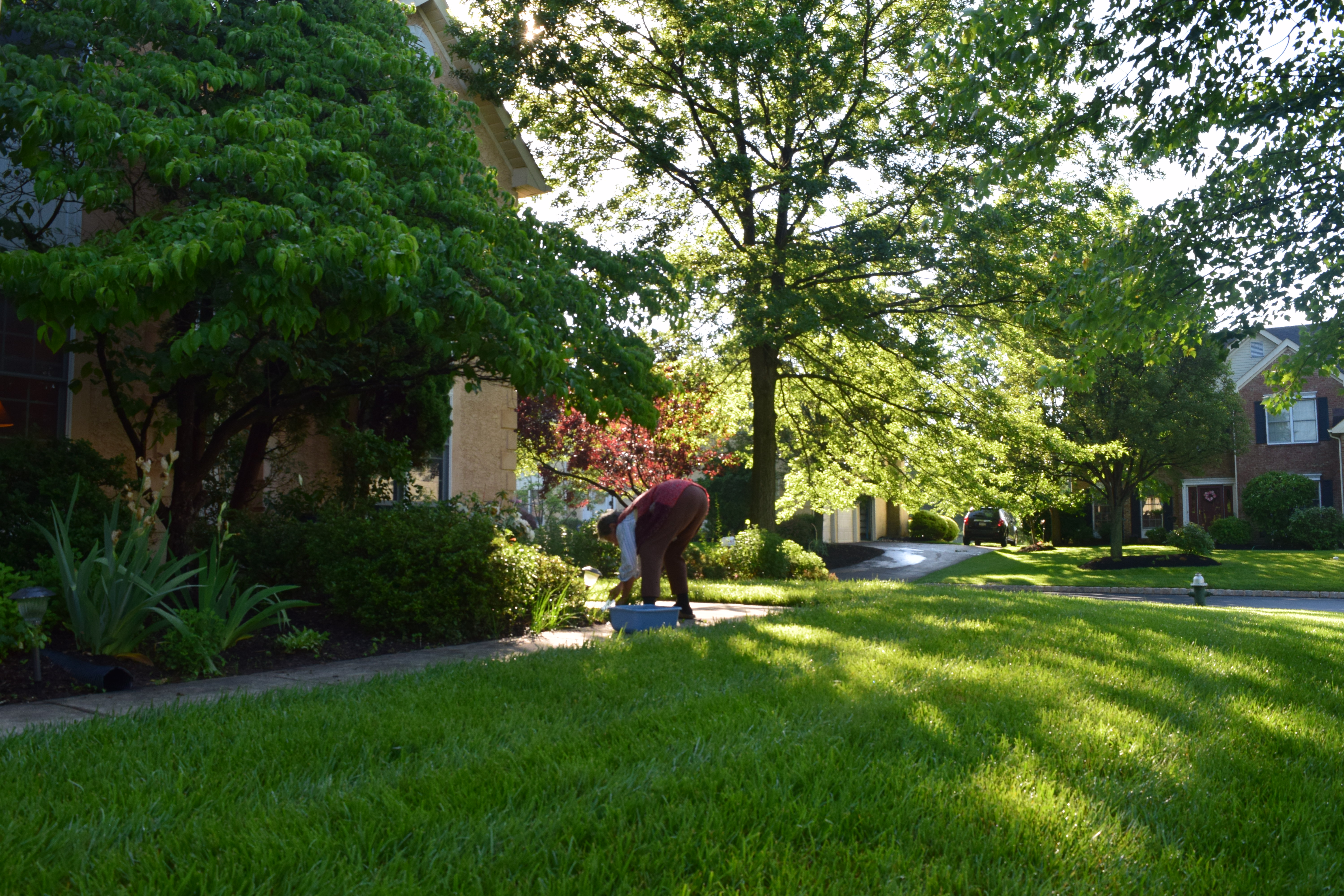 那年光裡的背影